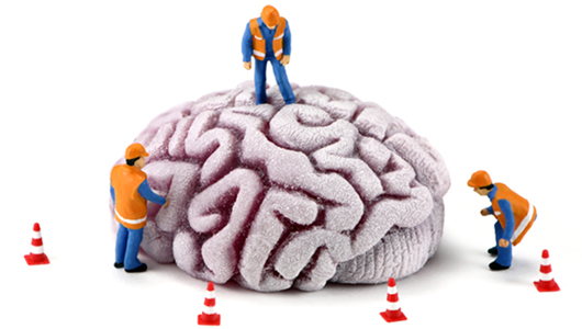 cartoon brain with construction workers standing on it as though they are about to begin a building project