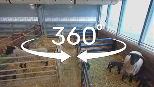 barn with arrows indicating it is a 360 degree video