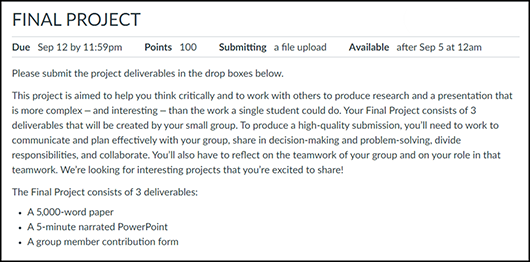Example of a Final Project in an LMS. See text below for details