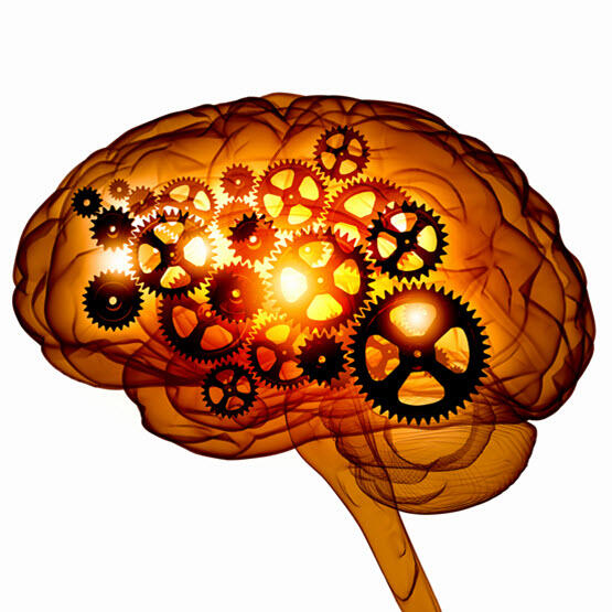 A drawing of a brain with interlocking brains inside of it.