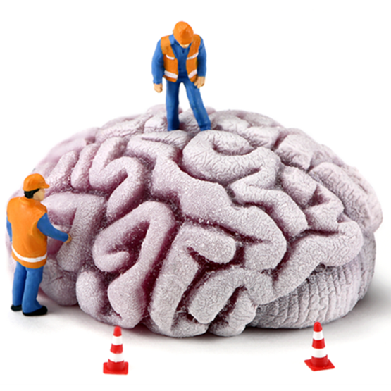 Cartoon brain with workmen standing on it as if they are doing construction on it.
