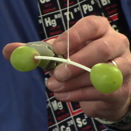 close up of 2 grapes on a tooth pick suspended from a rope